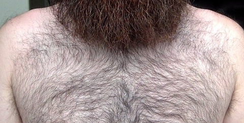 beard_doe onlyfans leaked picture 1