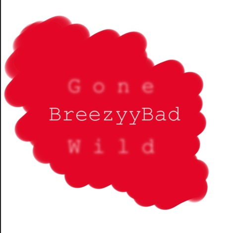 breezyybad onlyfans leaked picture 1