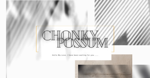 chonkypossum onlyfans leaked picture 1