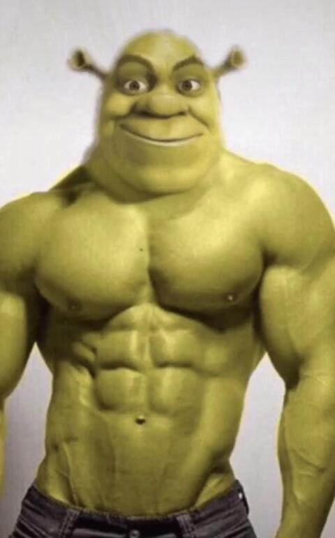 daddyshrek onlyfans leaked picture 2