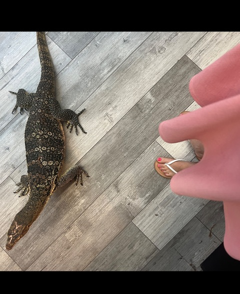 dinosaurmom onlyfans leaked picture 1
