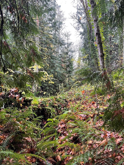 grgisthewerd onlyfans leaked picture 1