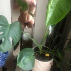happylittlesunflower onlyfans leaked picture 1