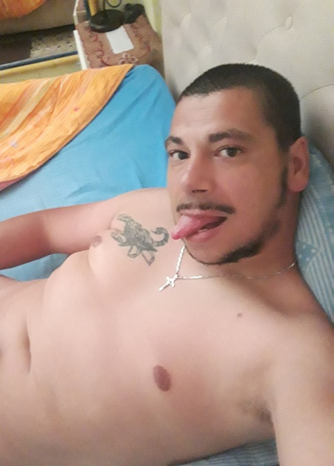 marcofreesicilianoporco onlyfans leaked picture 1