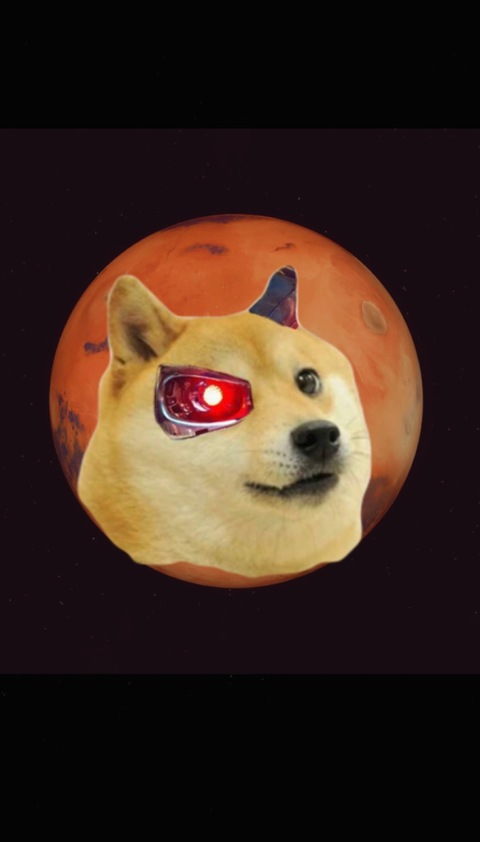 ofdoge onlyfans leaked picture 1