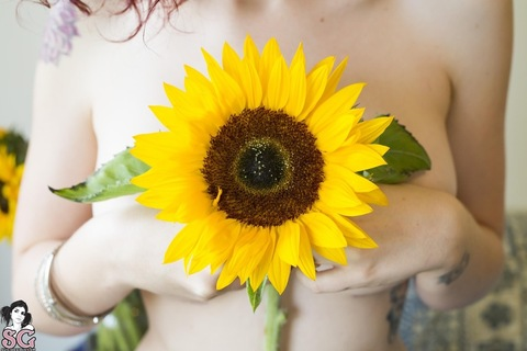 sunflower.free onlyfans leaked picture 1