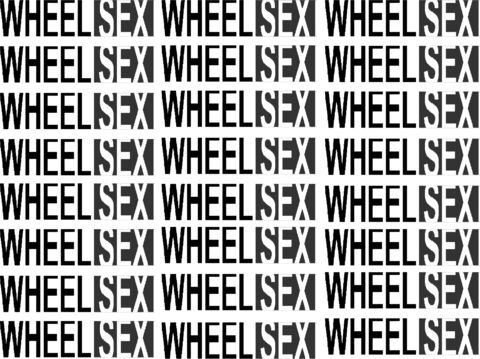 wheelsex onlyfans leaked picture 2